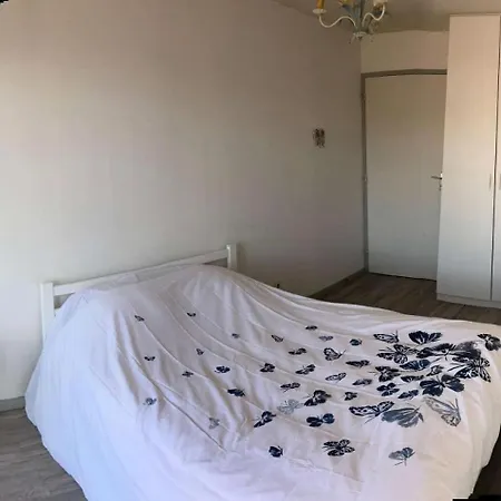 Résidence Le Brahms - - Proche Et Commerces Mae-7521