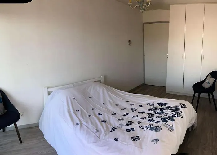 Résidence Le Brahms - - Proche Et Commerces Mae-7521